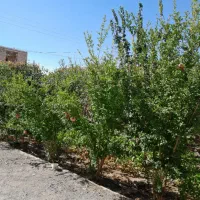 باغ ویلا ۲۶۲ متری|فروش خانه و ویلا|کوهپایه, |دیوار