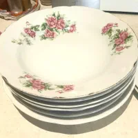 خورشت خوری گل سرخی