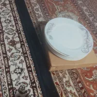 میوه خوری آرکوپال