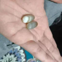 سنگ سلیمانی