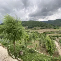 اجاره ی ویلا