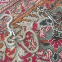 گردنبند ماری 500