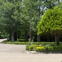 فروش-ویلا-400متر-5خواب-پزشکان-آمارو-احمدی