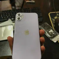 iPhone 11|موبایل|شبستر, |دیوار