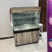 آکواریوم تمیز و سالم