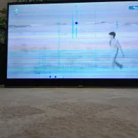 تلویزیون 43 اینچ evvoli مدل43EV1000السیدی زربه