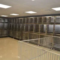 استخدام نیروی اقا جهت کار در پانسیون حیوانات خاص