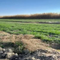 اسباب بازی نیه زمین اسینم اتبان