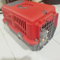 تعدادی وسایل گربه