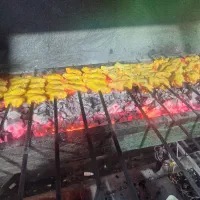 به یک شاطر نیازمندم