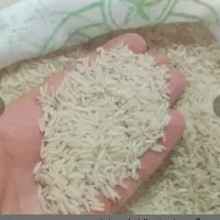 برنج هاشمی درجه یک