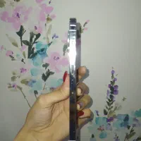 13 pro max silver|موبایل|رشت, چمارسرا|دیوار