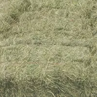 پرس یونجه خشک و مرغوب