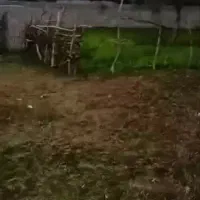 زمین در گیلان