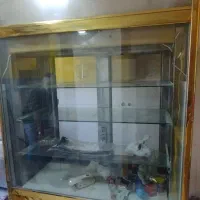 یخچال ویترینی ایستاده|فروشگاه و مغازه|گلبهار, شهر جدید گلبهار|دیوار