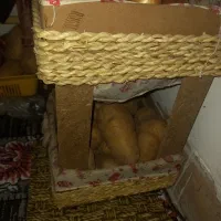 جای سیب زمینی پیاز چوبی