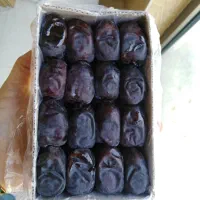 نایلون مخصوص بسته‌بندی خرما (۸۰۰گرمی)