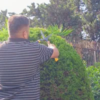 انجام باغبانی هرس گلکاری کود سمپاشی شخم زدن باغبان