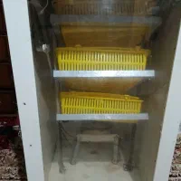 دستگاه جوجه کشی