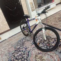 دوچرخه تیرینکس سالم