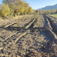 زمین نقلی کشاورزی