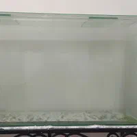 اکواریوم شیشه خم|ماهی|خرمشهر, |دیوار