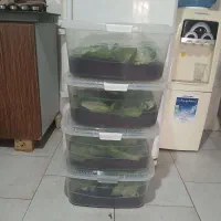 درآمد بالا کار در منزل شغل خانگی کاردرمنزل