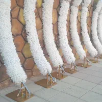 فروش ورودی عروس و داماد
