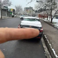 جیلی امگرند 7