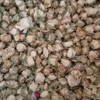 گل خشک رز|عمدهفروشی|محلات, |دیوار