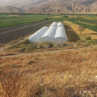 فروش-گلخانه