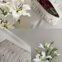 میکاپ بگ یا کیف لوازم آرایشی|کیف، کفش، کمربند|تربت‌حیدریه, فرمانداری|دیوار