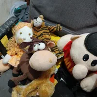 عروسک پولیشی