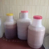 عسل