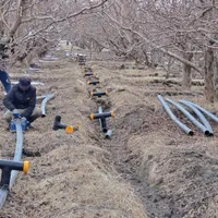 لوله کشی باغ و باغچه|خدمات باغبانی و درختکاری|ارومیه, |دیوار