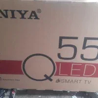 کارتون تلوزیون|تلویزیون و پروژکتور|شوشتر, |دیوار