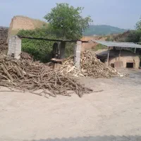 ذغال لیمو تولید کننده