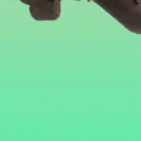 استخدام جوان با موتور