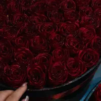 سفارش گل های جاودان و روبانی|گل مصنوعی|همدان, |دیوار