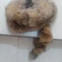 کلاه روس|لباس|تهران, شهید رجایی|دیوار