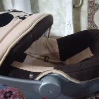 یک عدد کریر نوزاد