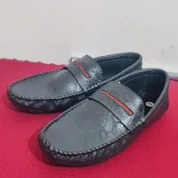 کفش کالج گوچی
