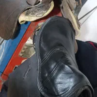 زین اسب|اسب و تجهیزات اسب‌سواری|بوکان, |دیوار