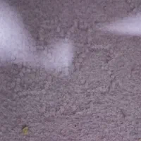 دو رنگ موکت کاملا جنس خوب|موکت|تبریز, |دیوار