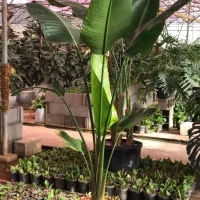 راهنمایی کار