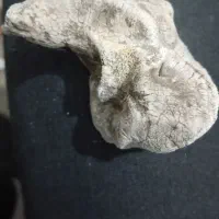 شهاب سنگ|کلکسیون اشیاء عتیقه|پیشوا, |دیوار