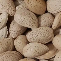 گردو بادام زمینی بادام درختی مغز گردو مویز کشمش|خوردنی و آشامیدنی|قم, باسکول|دیوار