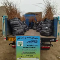 سرمایه گزاری پرسود و زودبازده با پرورش بلک ویلیام|خدمات باغبانی و درختکاری|صدرا-فارس, باغشهر گلبهار صدرا|دیوار