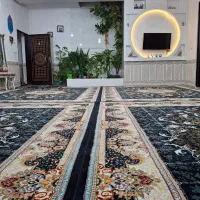 فرش 12متری 700شانه درحدنو|فرش|کرمانشاه, |دیوار