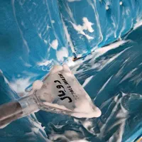 مبلشویی تخصصی رویال سنندج|خدمات نظافت|سنندج, |دیوار